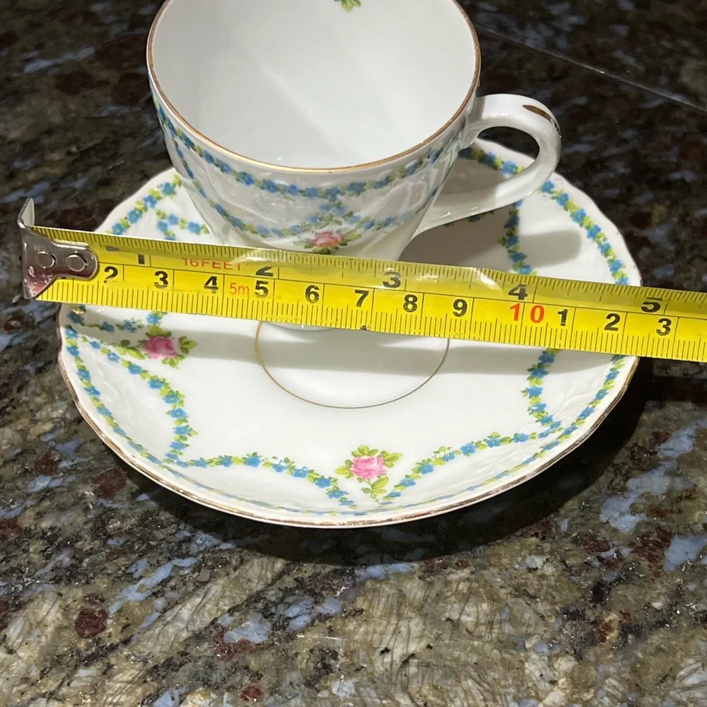 Vintage Altrohla Austria Enamel Flower Porcelain Tea Cup & Saucer collectible